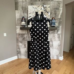White House Black Market Polka Dots Cotton Dress